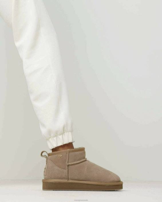 γυναίκες Mexx οικιακό παπούτσι κιμο τεφρόχρουν χρώμα BR0F367