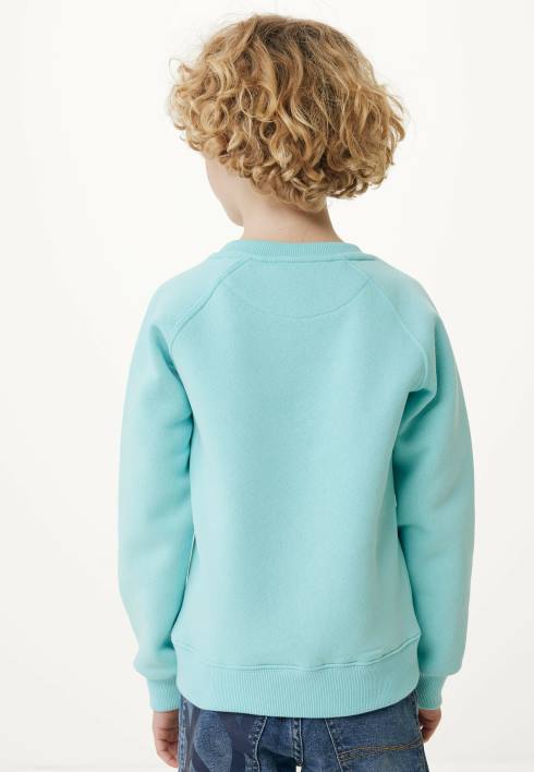αγόρια Mexx έργο τέχνης πουλόβερ με λαιμόκοψη μπλε BR0F899